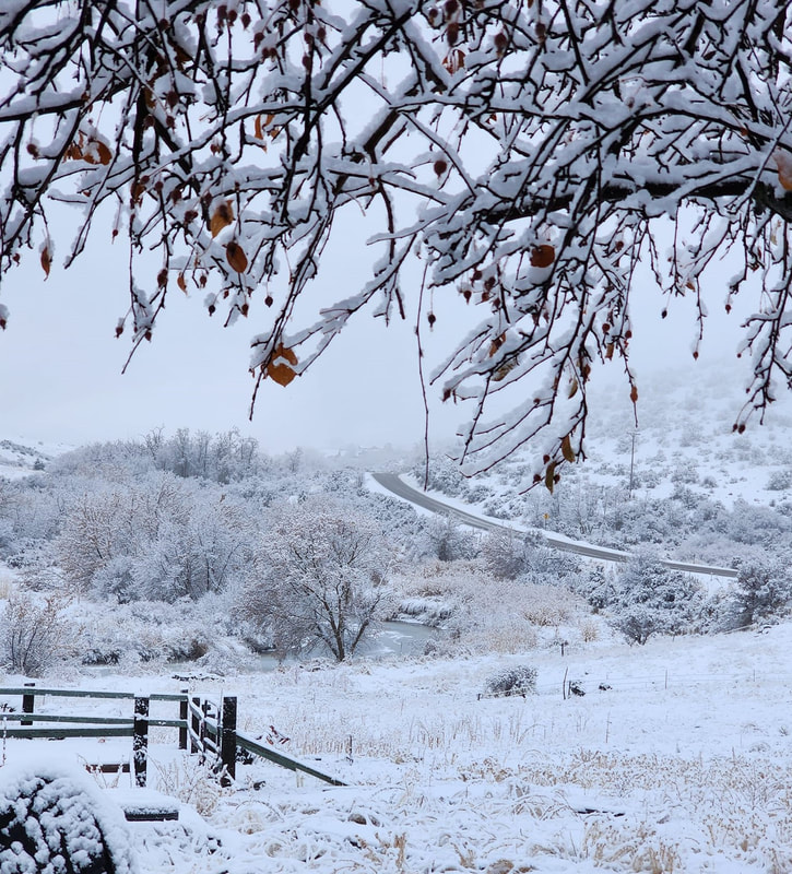 How To Thrive Rather than Survive Winter at the Barn